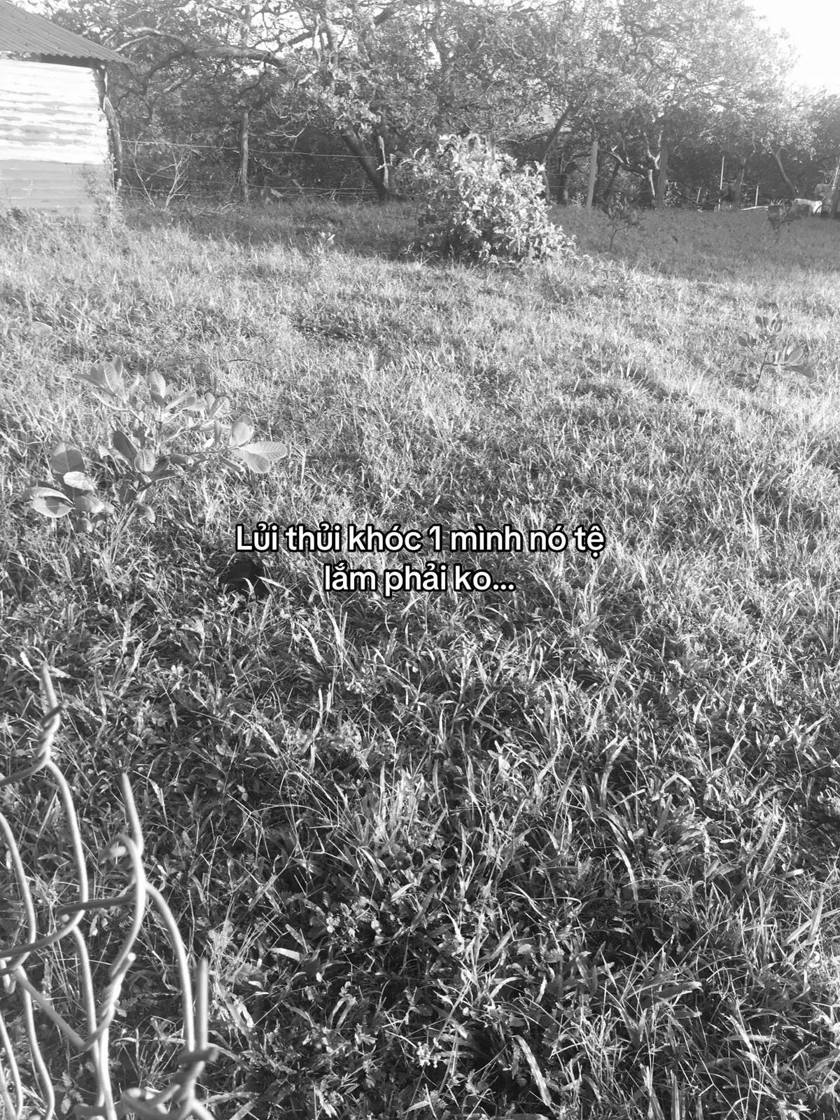 Tệ lắm phải ko…. #buon_tam_trang #buon #tamtrang #khoc #xuhuonggggggggggggggggg 