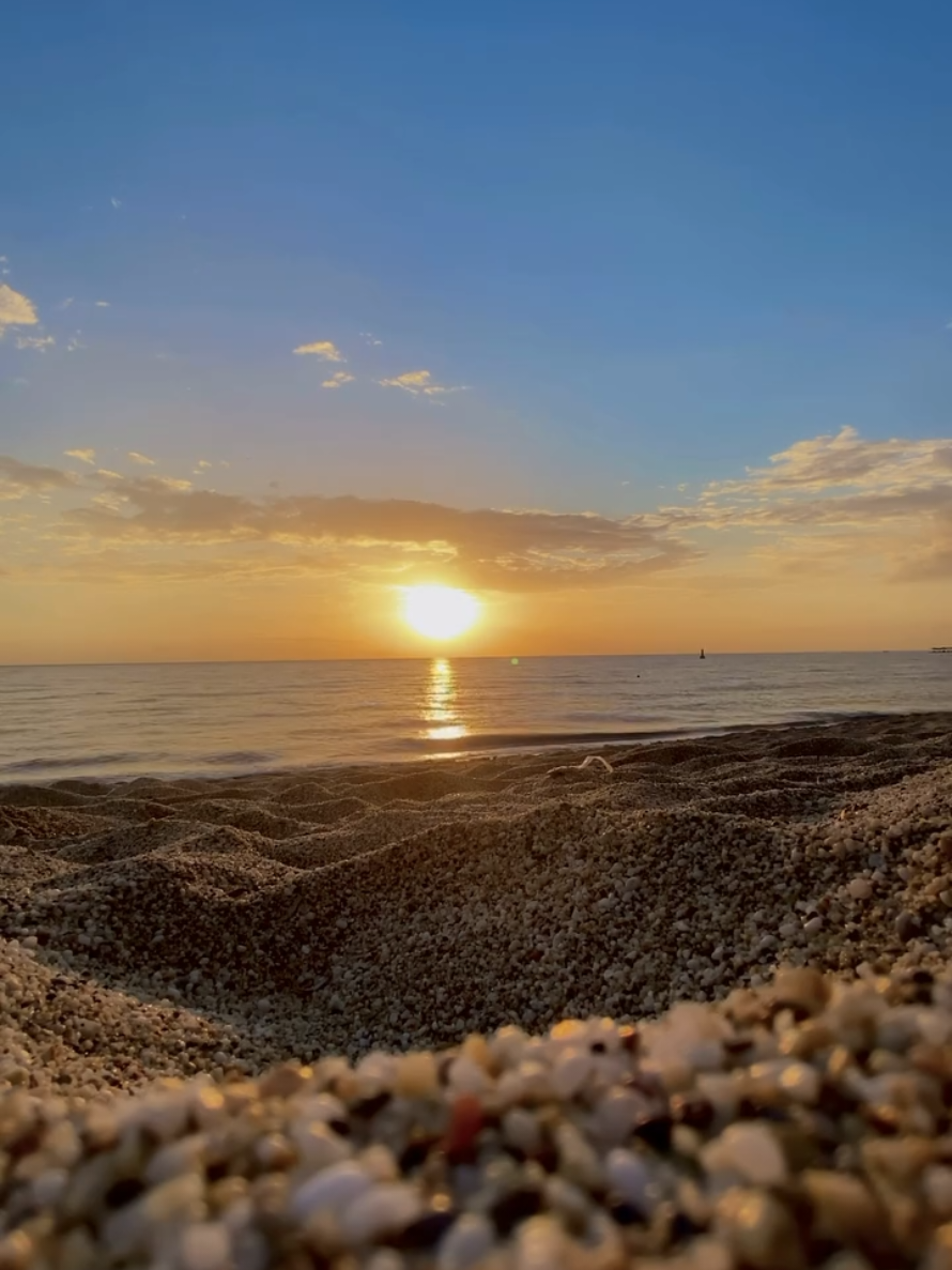 #كلام_من_ذهب 