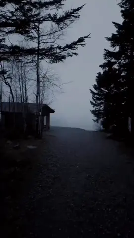 #vibesnaturals #calm #relax #vibes 