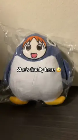 AFTER WAITING FOR SO LONG, SHE ARRIVED!!!!!!! BEST PURCHASE I MADE OF MY LIFE!!! #azumangadaioh #chiyochan #chiyomihama #fyp #fypシ 