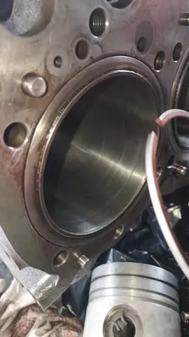 #meme #Geezo #viralvideo 