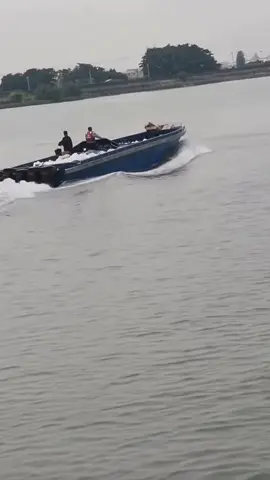 Xin vĩnh biệt cụ