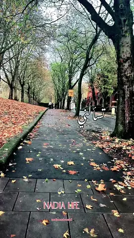 علي ضياء / قلبي ذاب#اغاني_عراقيه #اكسبلورررررررررررررررررررر #مشاهدات100k🔥 #تحيه_من_القلب_لكل_متابعين_وغيرمتابعين #ترندات_جديدة 