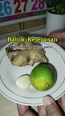 Batuk keterusan coba bersihkan paru-paru dengan resep ini #paruparu #resepherbal #manjur 