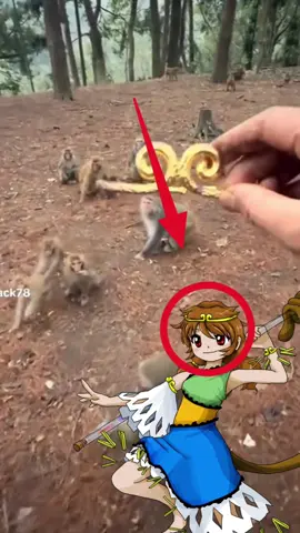 #sonbiten #touhou #hola #videoschidos #videosdivertidos 