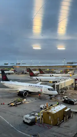 @Air Canada Planes at Toronto International Airport 🇨🇦🇨🇦 #toronto #torontoontario🇨🇦 #canada🇨🇦 #yyz #aircanada 