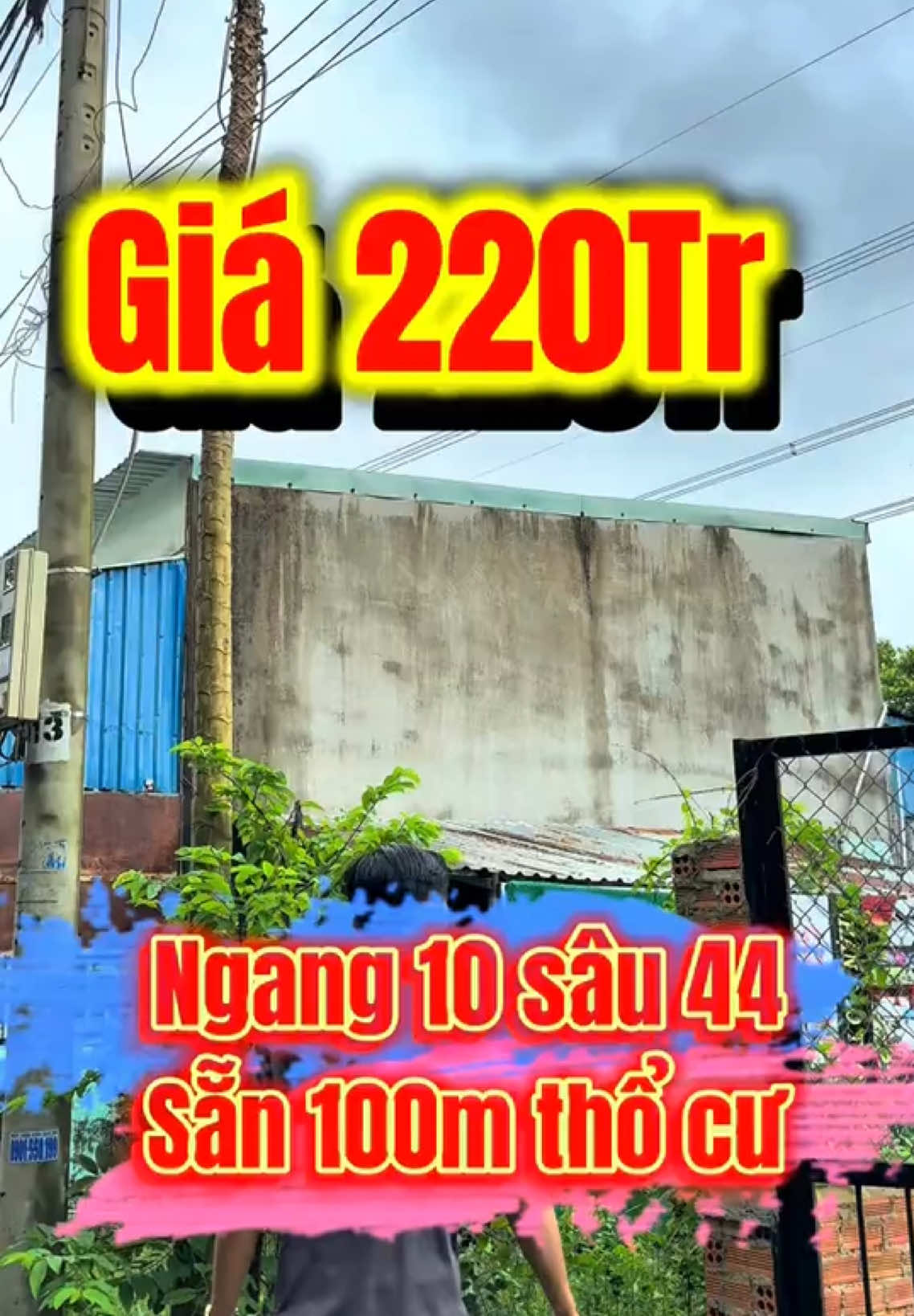 💥BÁN ĐẤT GIÁ RẺ💥 Lô đất 10x44m chỉ 220 triệu 🌳 Đường đẹp, dân cư đông, sổ sẵn sang tên liền tay 🏡 Giá tốt nhất khu vực – ai nhanh là có!  📞 LH: 0924.238.508 #xuhuong #bds #bdsgiare2024 #datnengiare #bdsbinhphuoc 