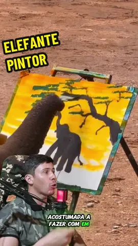 ELEFANTE PINTANDO QUADRO. Esses gigantes usam a tromba com impressionante delicadeza para segurar o pincel e criar traços precisos. Mas, apesar de parecer arte, o que fazem são apenas movimentos ensinados e memorizados. #VidaAnimalComentada #wendecrispimflix #animais #wendecrispim