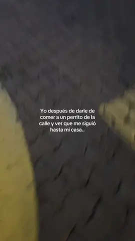 No puedo tener mascotas en casa pero cada que lo veo le doy de comer. #paraty #perros #perritosdelacalle #fyp #mascotas 