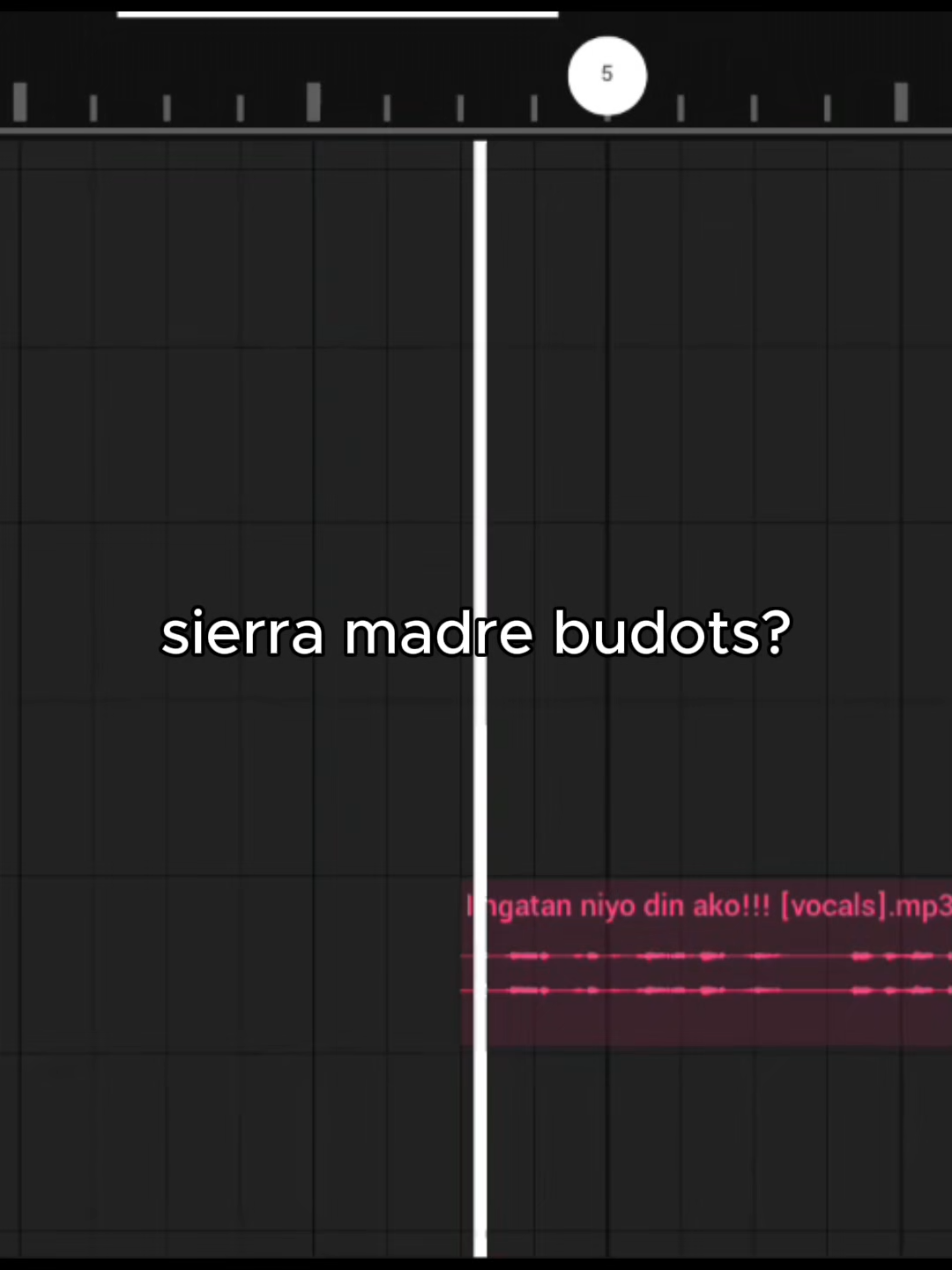 ito ay matigas sa fb reels ng mga tanders🤣✌️ #fyp#sierramadre#budots#remix#vhm4d