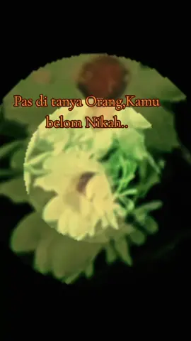 #Assalamuallaikum ..#pejuangrupiah 