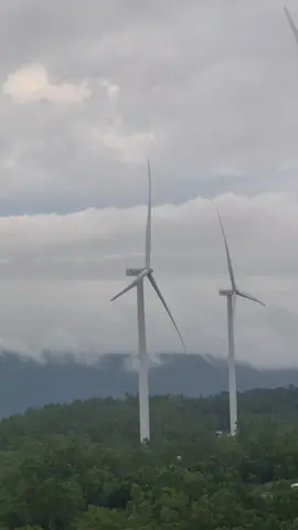 #ฟีดดดシ #fyp #เขายายเที่ยงกังหันลม🍃 #สีคิ้วโคราช #fyp ☘️🏞 13/11/68
