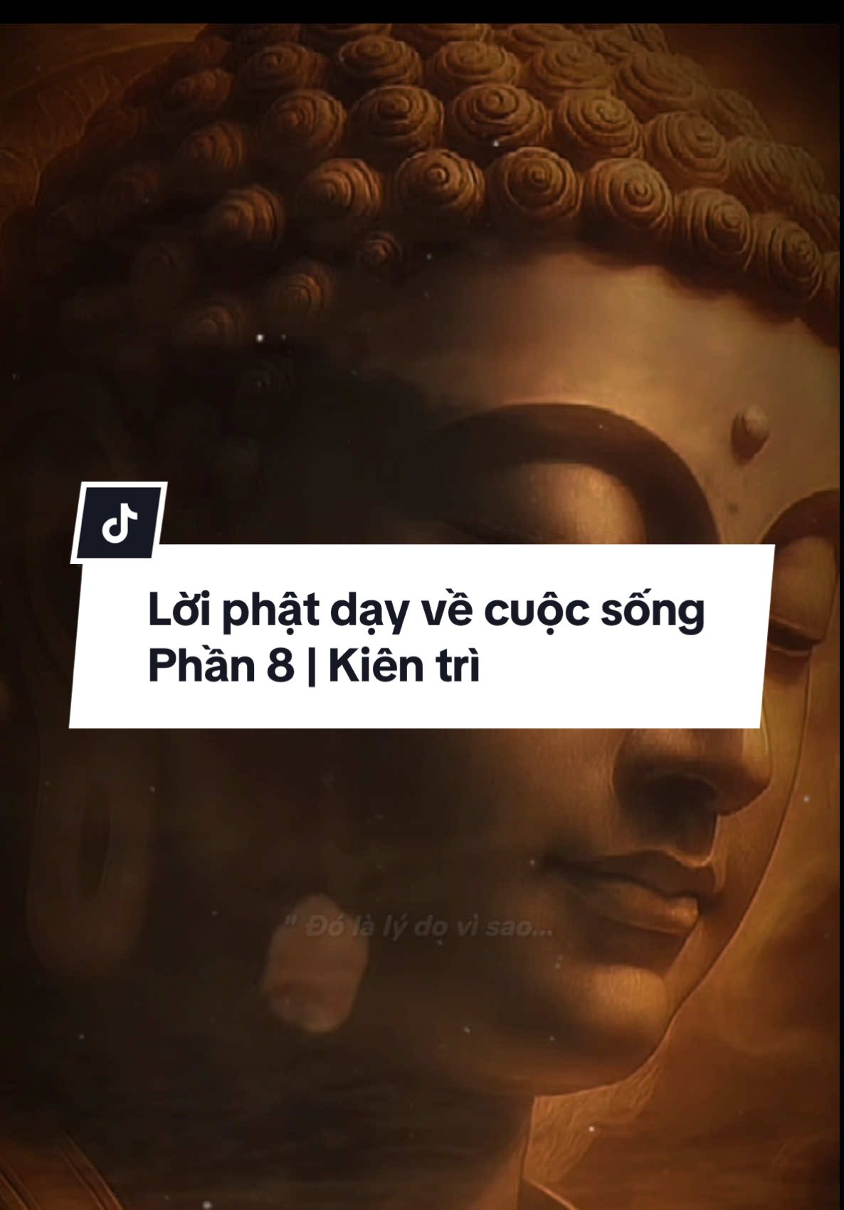 Lời phật dạy về cuộc sống | Phần 8 | Kiên trì #phậtpháp #phatphapnhiemmau #loiphatdayvecuocsong #kientri #Truestories6868 
