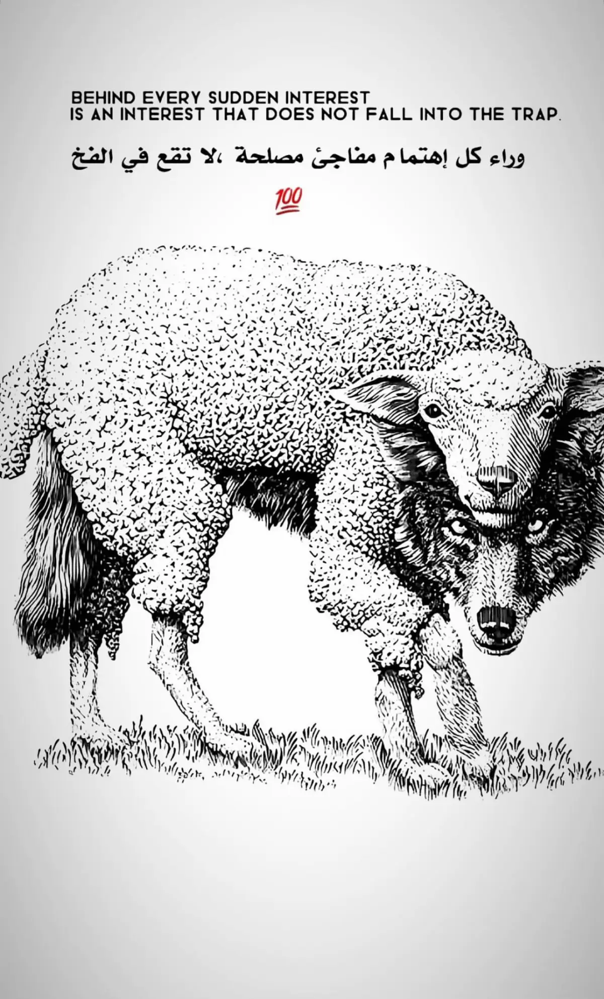 #شعلة🦁 #السلام_بلدنا #العظمه_لله✌️❣️ 