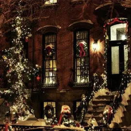 ❄️ #winter #winteraesthetics #coldvibes #holidays #fyp 