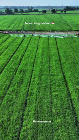 Semot semprot💪🤣🇳🇱#fyppppppppppppppppppppppp #petaniindonesia🇮🇩🇮🇩🇮🇩🌿🌿 #petanimuda 