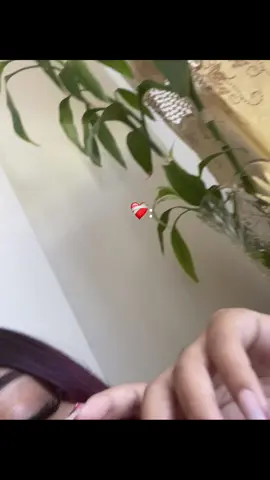 Asi duela , tomen la mejor desición🫩#crzgf 