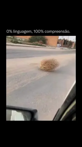 ícone dos cowboys ! #western #ícone #filme #mito #cowboy