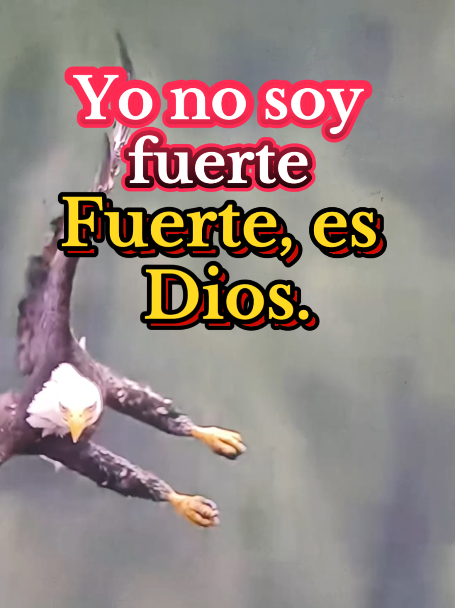 frases motivación yo no soy fuerte fuerte es DIOS el me da fuerza para seguir en la batalla cada día #frases #motivacion #es #dios #parati 