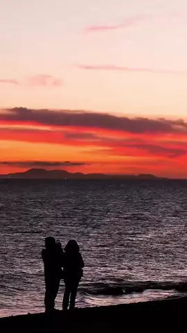 Some feelings don’t ask to be remembered… they just come back when your heart feels empty. #T#TheMindMirrorw#wordsIdidntsaye#emotionalwritingr#rawfeelingss#softpain      