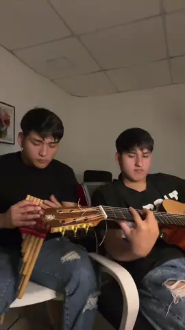 #sinella#armenioficial