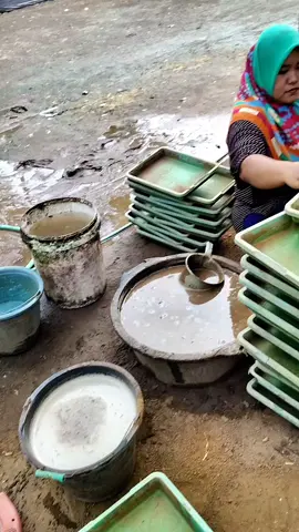 #petaniindonesia🇮🇩🇮🇩🇮🇩🌿🌿 #petanipadi 