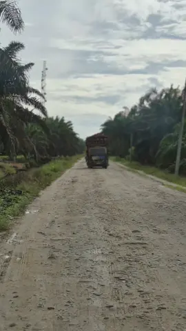 😶 @Romaito_Siregar 06🎭 