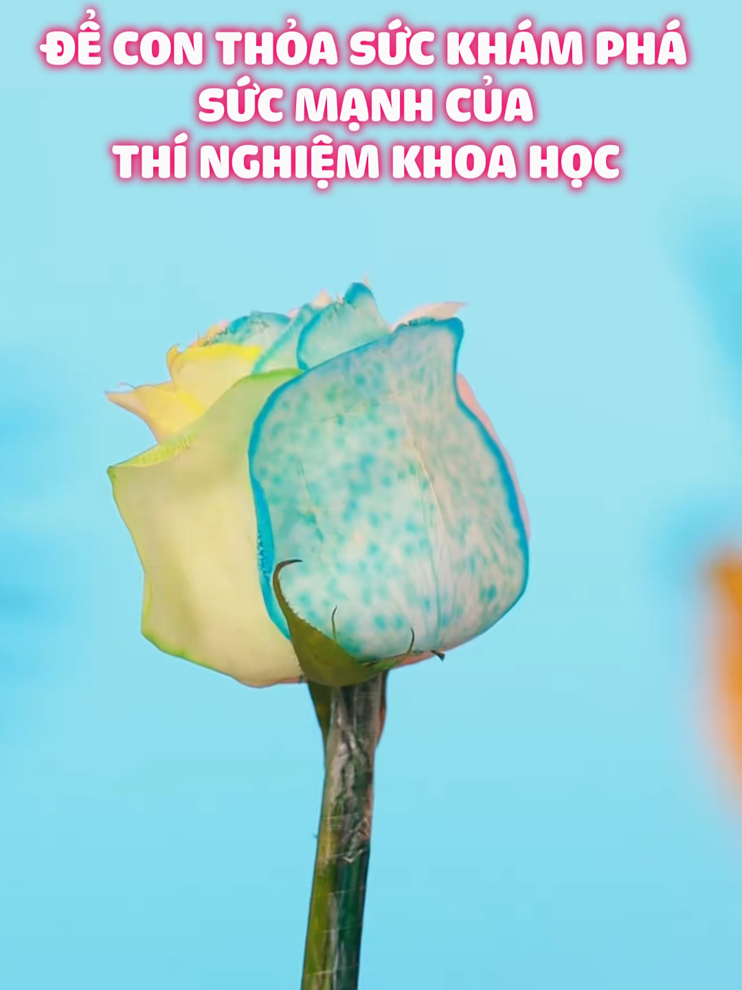 Dù có xem bao nhiêu kiến thức khoa học cũng không bằng tự tay làm thử một lần. Kỳ nghỉ này, hãy cùng con trải nghiệm những thí nghiệm khoa học đơn giản để cảm nhận sức mạnh của tri thức, thỏa mãn trí tò mò và khơi dậy niềm đam mê học hỏi. #tienphongbooks #giaoduc #sachhay #thinghiemkhoahoc #khoahoc