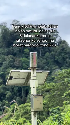 Pargogoi tondikku#viraltiktok #fyp #hlkhitabatak #lagubatak 