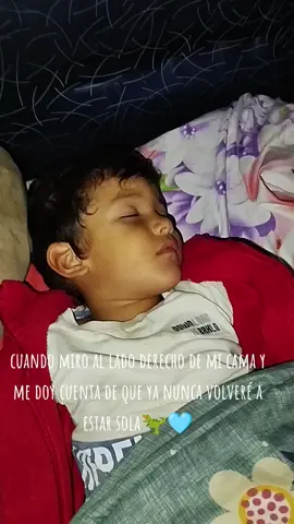 mis dinosaurios 🦖🩵🦕#mamadedos #misbebes 