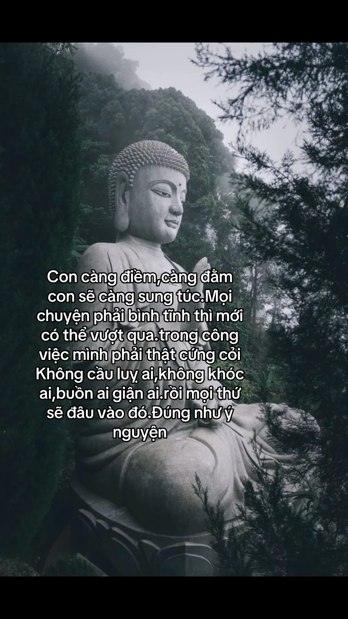 #luatnhanqua #nammobonsuthichcamauniphat #nammoadidaphat #nammoquantheambotat 