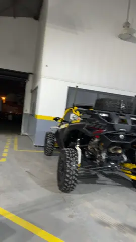 #19 🇩🇿🇩🇿 