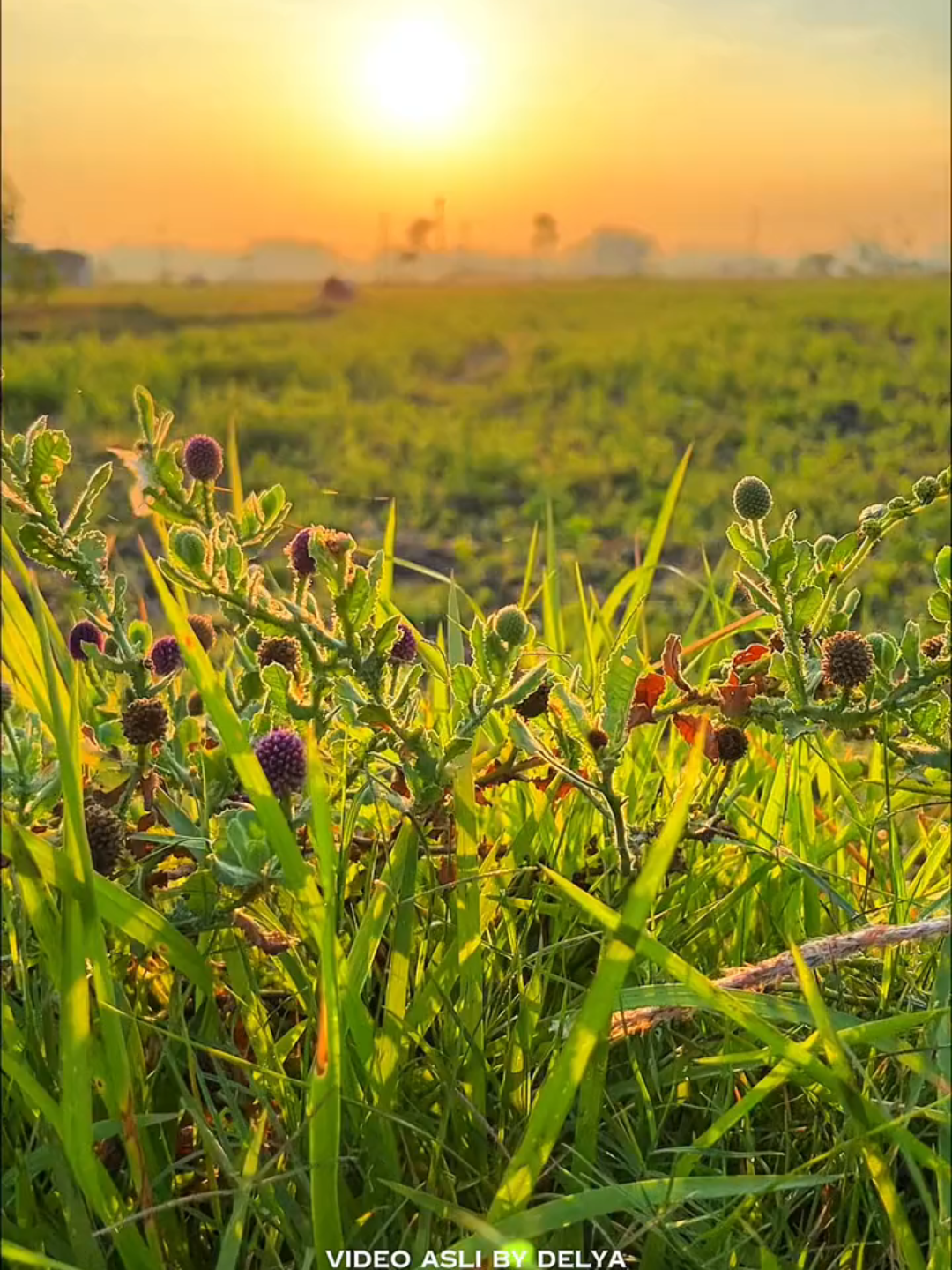 #iphone13pro #langitaesthetic #aesthetic #cinematic #morningvibes