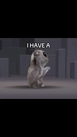 SPEED IS KINDA HOMLESS