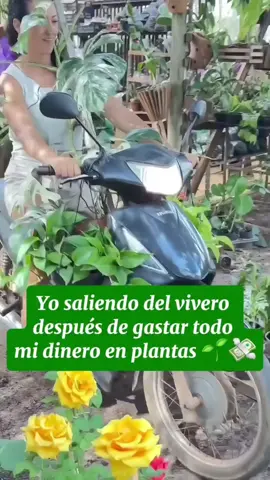 Planta lovers❤️#plantas #plantalovers #motoneta #locadelasplantas #parati 