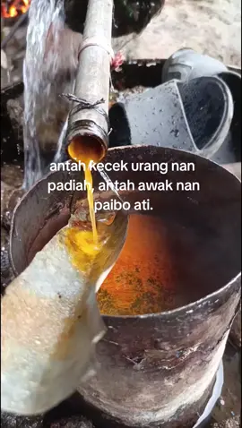 #minangtiktok #foryoupage #fyp #fypage #fypminang 