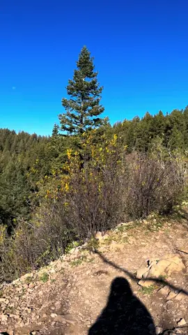 Cloudcroft,NM #fyp #cloudcroft 