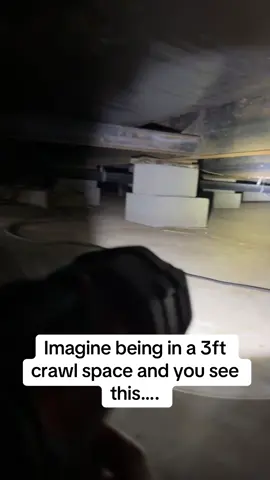 The wildest thing happened to me today while I was under my house… #fyp #spooky #scary #jumpscare #wildanimals 