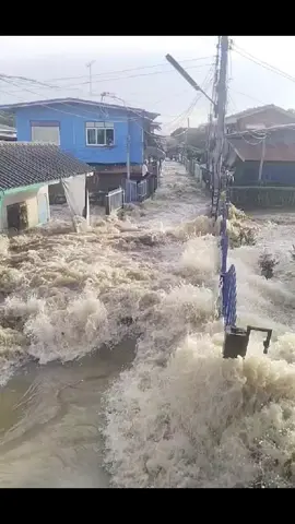 น้ำแรงมาก พนังกั้นน้ำแตก จุดวัดปราสาท อ.อินทร์บุรี จ.สิงห์บุรี เย็นวันที่ 12/11/68 #ตามไปไหน #นักข่าว #นักข่าวภาคสนาม #สนามข่าว #ข่าวติ๊กต๊อก #ข่าววันนี้ #ข่าวโซเชียล #วัชรา #Watchara 