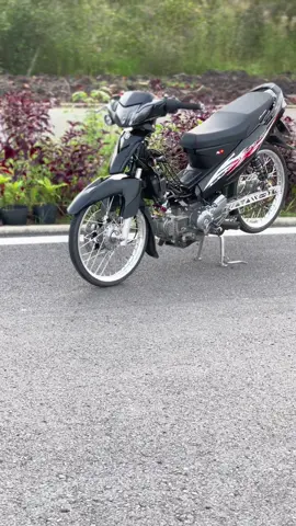 ❤️‍🔥#siriusđộkiểng #sirius 