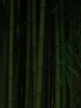 What's up polapin 🐸😹 #fypシ゚viral #viraltiktok #viralvideo #fyppppppppppppppppppppppp 