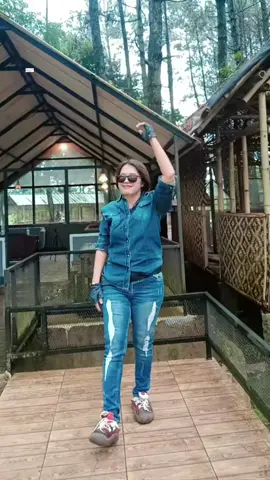 Membalas @mamanyadupa #kucinggarong #dj #djremix 