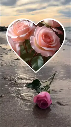 #دعاء_الصباح #صباح_الخير #اصبحنا_واصبح_الملك_لله #اللهم_صباحا_مبشرا_بكل_خير #fup 