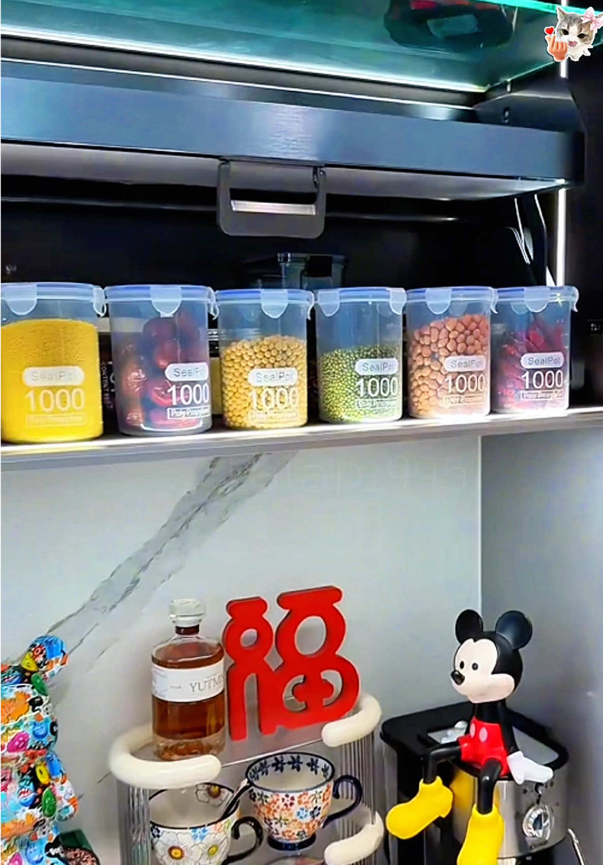 Hộp nhựa tròn đựng thực phẩm có nắp đậy #hopdungthucpham #hopnhuaconap #hopnhuatrongsuot #xuhuong #lalap1995 