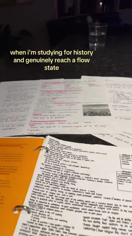 elite #flowstate #viral #relateable #fyp #History 