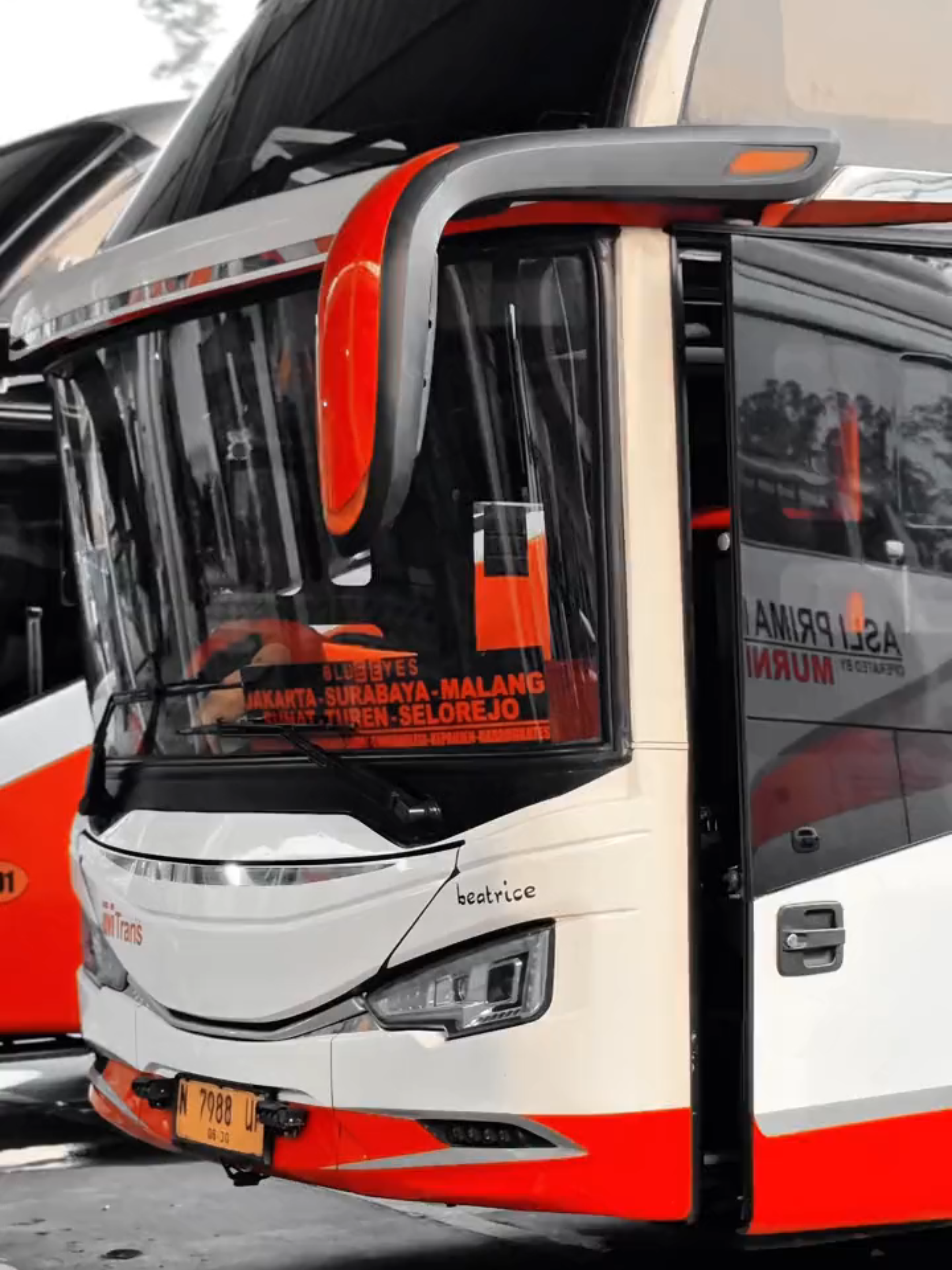 F*** Me I'M FAMOUS! #mtrans #tentrem #busenthusiast #cinematicbus #fypシ゚ 