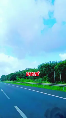 🌿🌿🌺🌺nghe nhạc thư giãn 🌺🌺🌿🌿🌸🌸🌿🌿🌸🌸🌿🌿☘️🌺☘️🌺☘️🌺☘️🌺☘️🌺☘️🌺🌿🌸🌿🌸🌿🌸🌿🌸🌿🌸🌿🌸🌿🌹🌿🌹🌿🌹🌿🌹🌿🌹🌿🌹