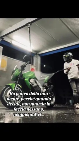 A volte mi sto antipatico da solo, ma questo mi ha reso l’uomo che sono oggi 💚🖤 #biker #motivation #mente #animal #pyf 