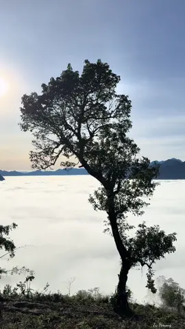 Yuav Nyob ib leeg li no mug txog nub twg #tusiab 