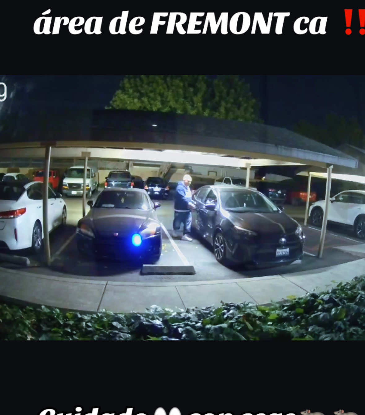Lo han visto en varias zonas de Fremont R0b@Ndo 🚙 🚗 ‼️#fremont ##oakland#hayward#bayarea #sanjosecalifornia 